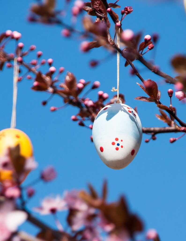 easter egg hanging from a cherry blossom branch