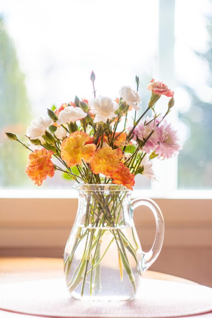 vase of carnations by a window