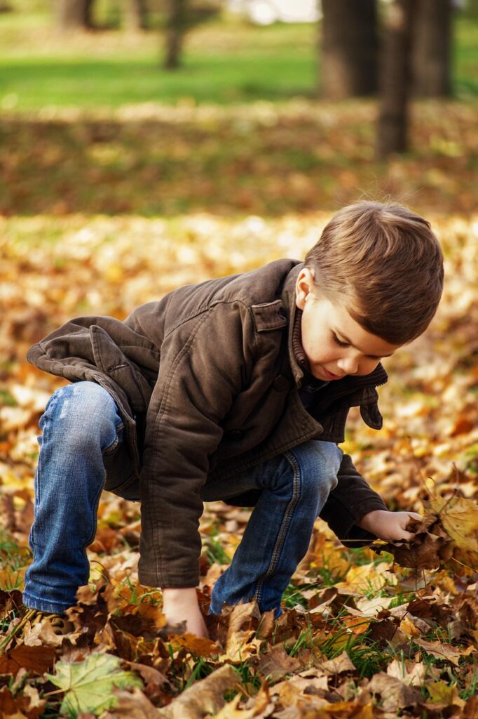 toddler boy playing in the fallen leaves