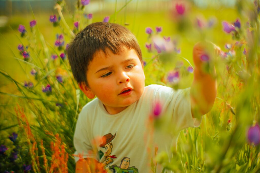 toddler boy in a field of flowers